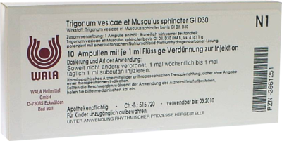 TRIGONUM vesicae et Musculus sphinc.GL D 30 Amp.