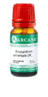 ANACARDIUM ORIENTALE LM 24 Dilution