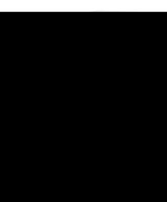 ACIDUM PHOSPHORICUM C 12 Globuli