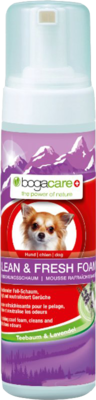 BOGACARE CLEAN & FRESH Foam Hund