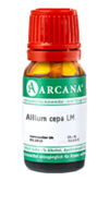 ALLIUM CEPA LM 13 Dilution