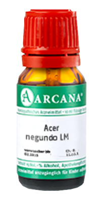 ACER negundo LM 7 Dilution