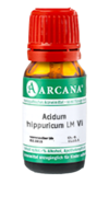 ACIDUM HIPPURICUM LM 6 Dilution