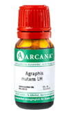 AGRAPHIS NUTANS LM 20 Dilution