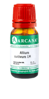 ALLIUM SATIVUM LM 8 Dilution