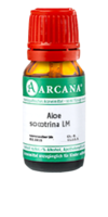 ALOE SOCOTRINA LM 12 Dilution