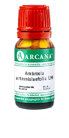 AMBROSIA ARTEMISIAEFOLIA LM 23 Dilution