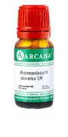 AMMONIACUM dorema LM 19 Dilution