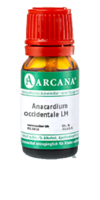 ANACARDIUM OCCIDENTALE LM 7 Dilution