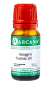 ANAGYRIS foetida LM 36 Dilution