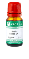 ANDIRA inermis LM 13 Dilution