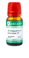 ANTHOXANTHUM odoratum LM 9 Dilution